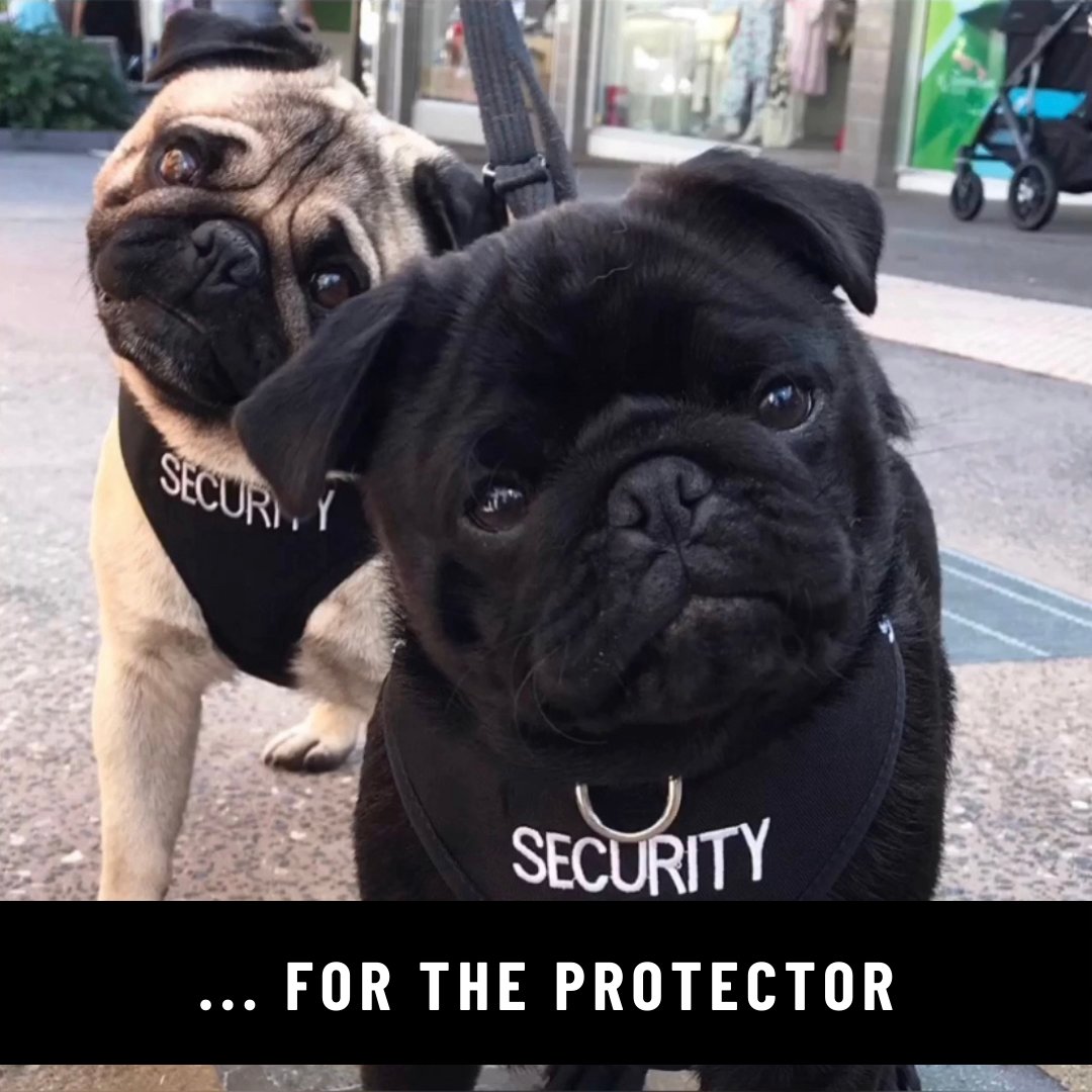 SECURITY