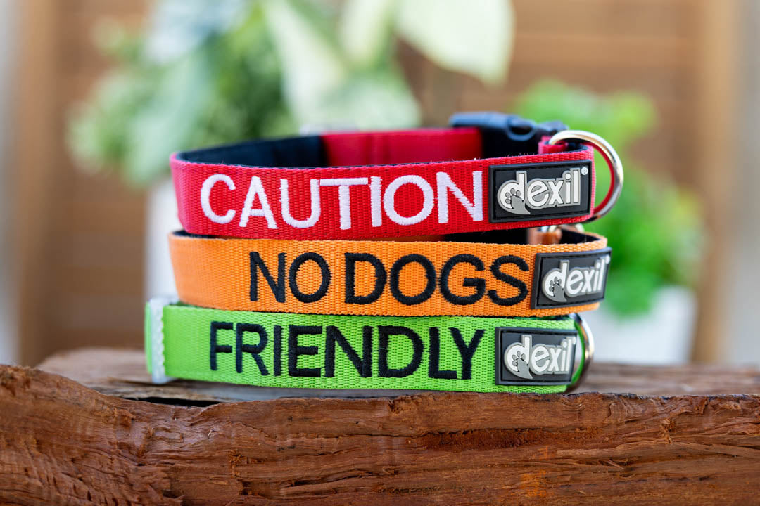 Dexil Friendly Dog Collars