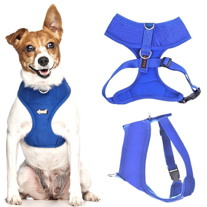 ROYAL BLUE – Friendly Dog Collars