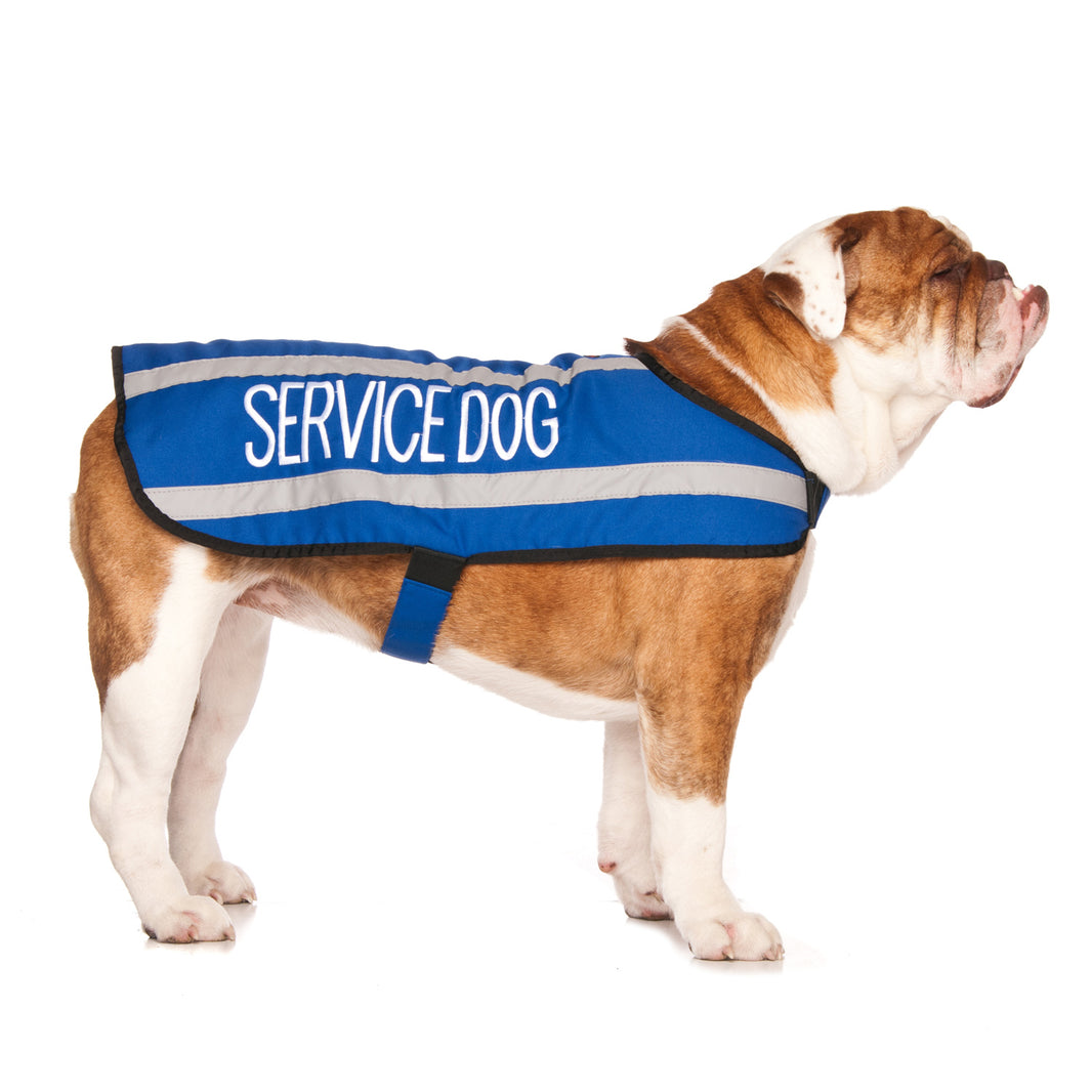 SERVICE DOG Friendly Dog Collars
