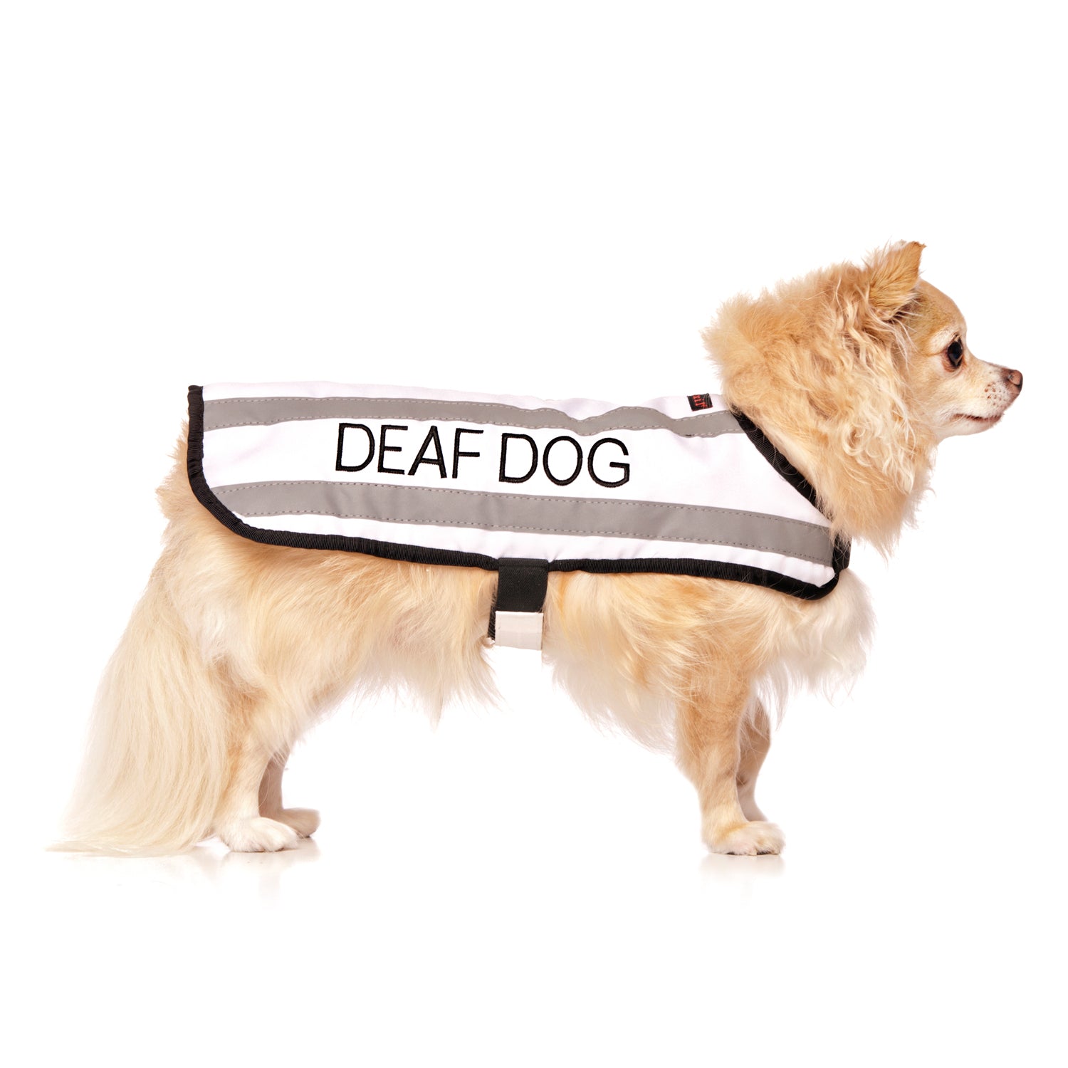 deaf dog coats
