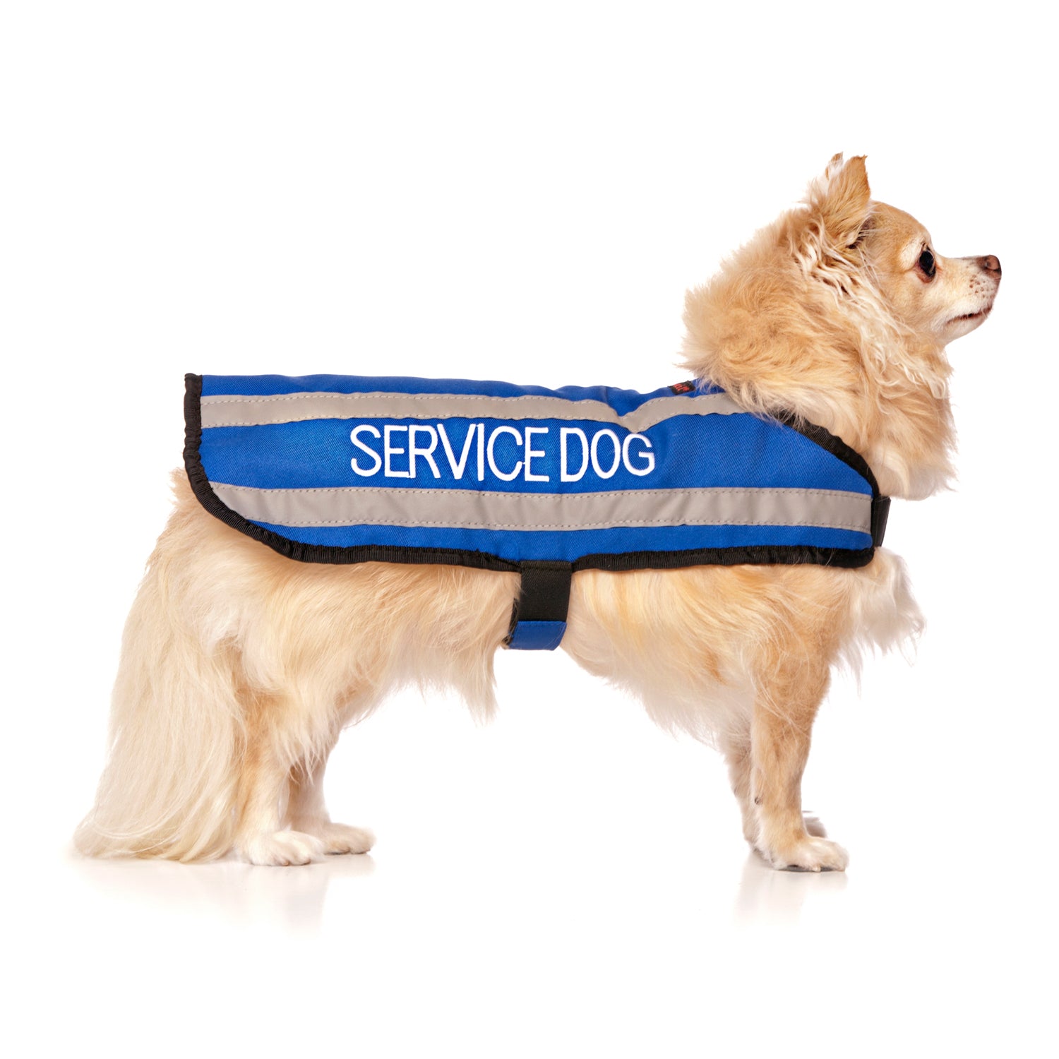 service dog coats
