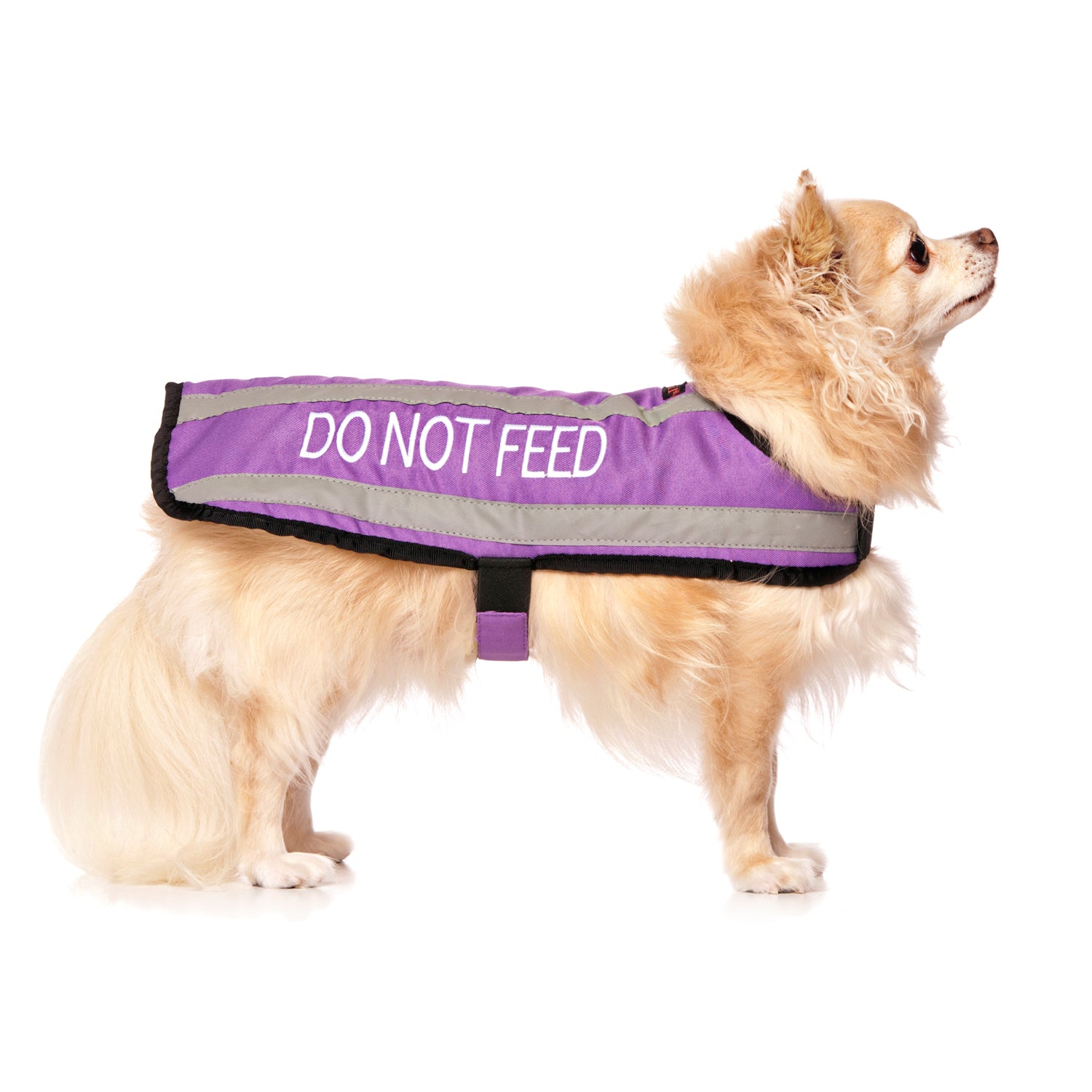 do not feed coats