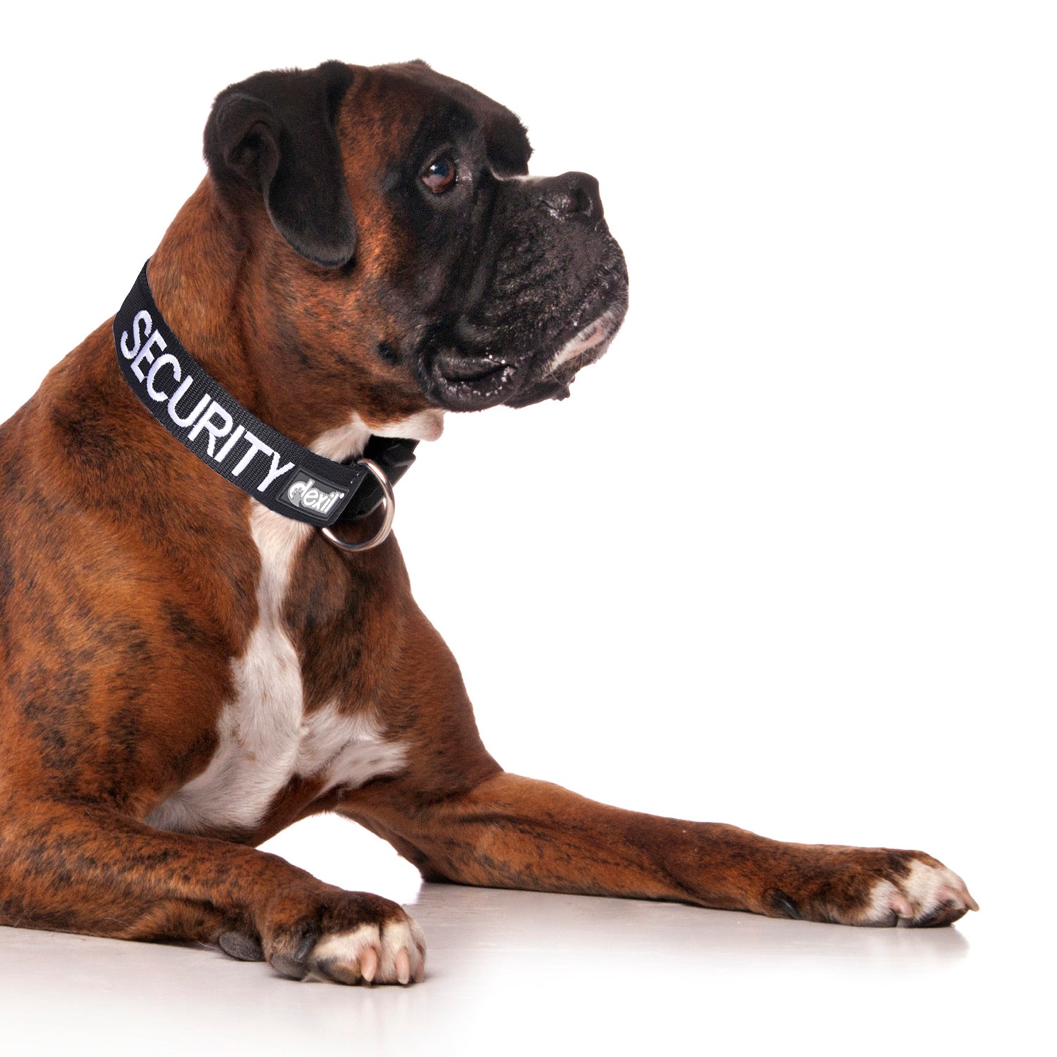 Security Dog collars