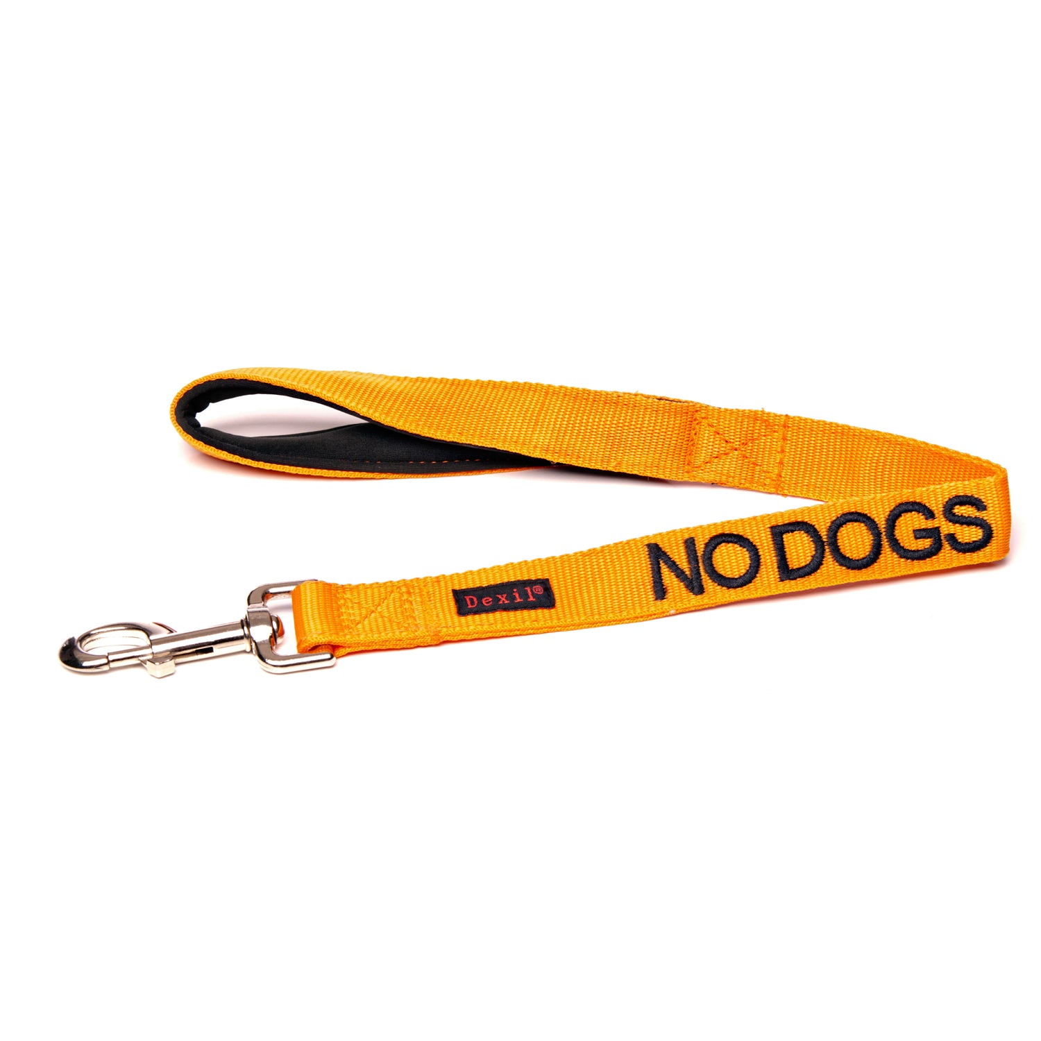 no dogs leads