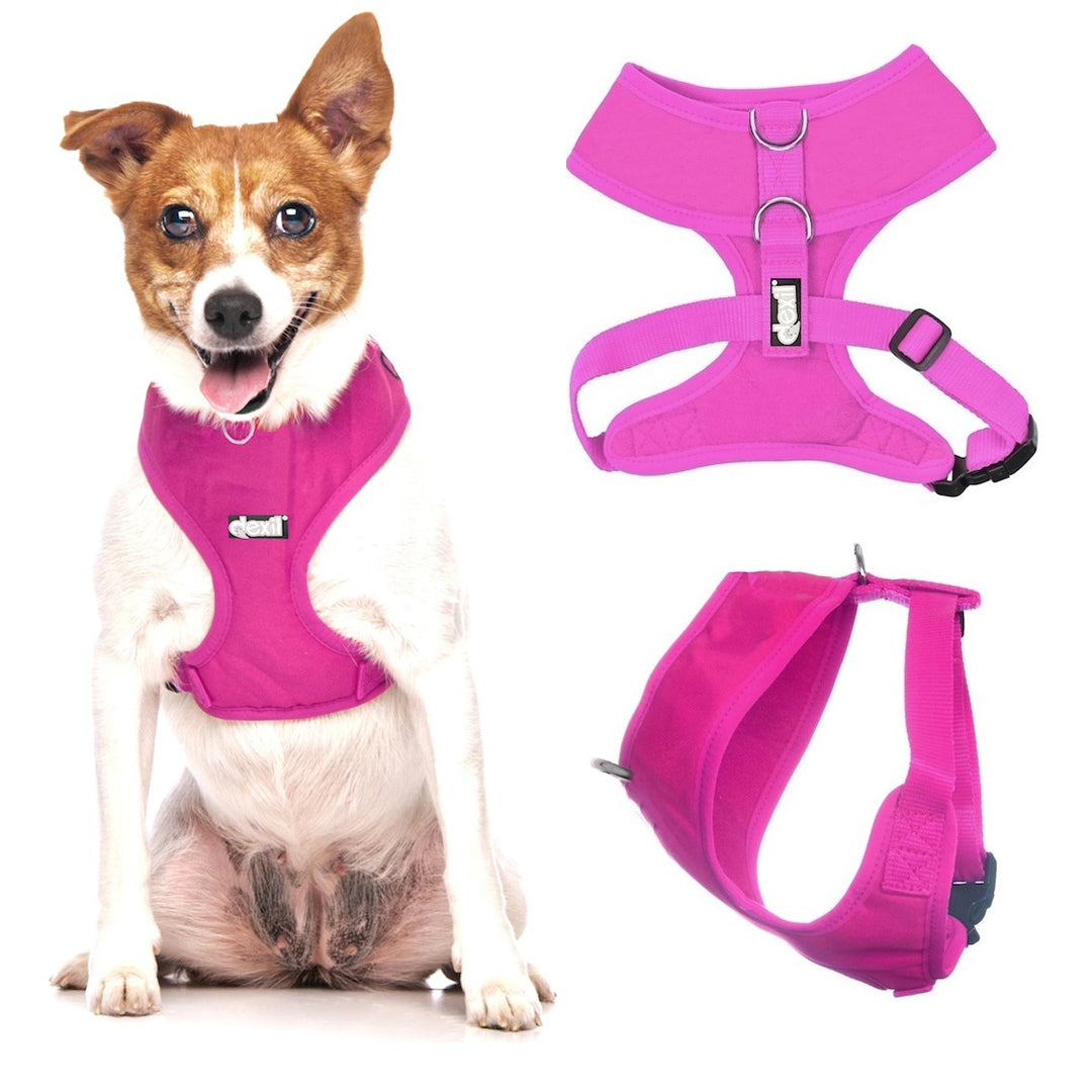Candy pink harnesses