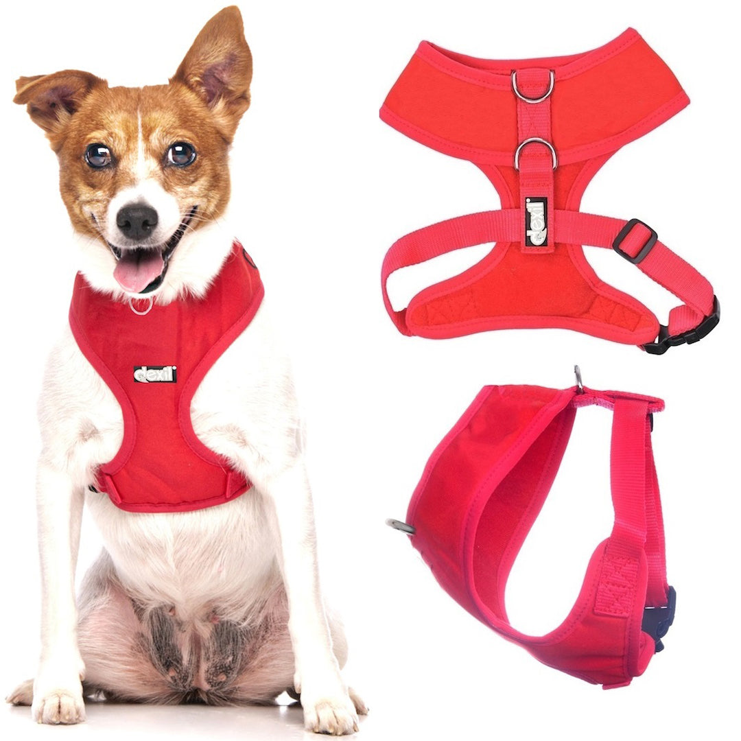 flash red harnesses
