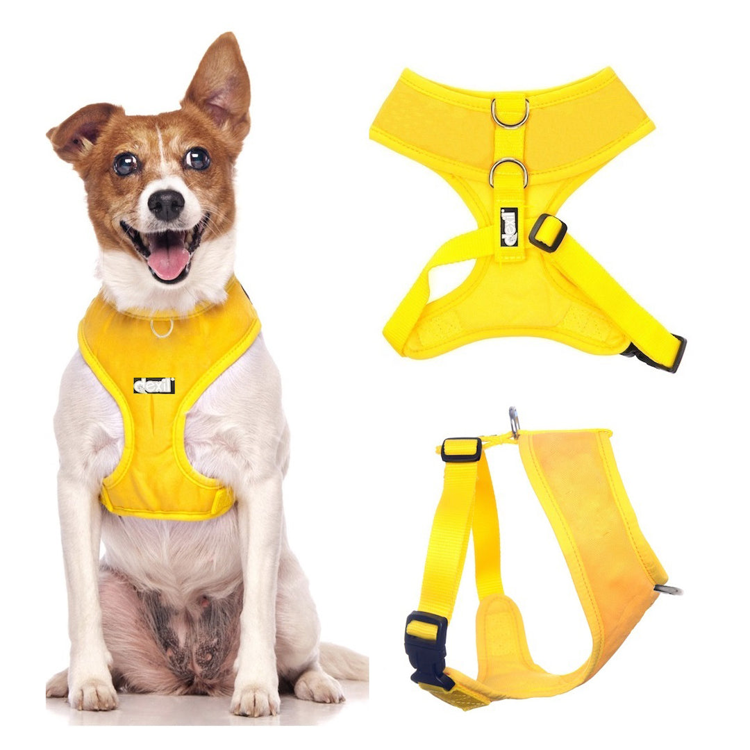 sunburst yellow harnesses